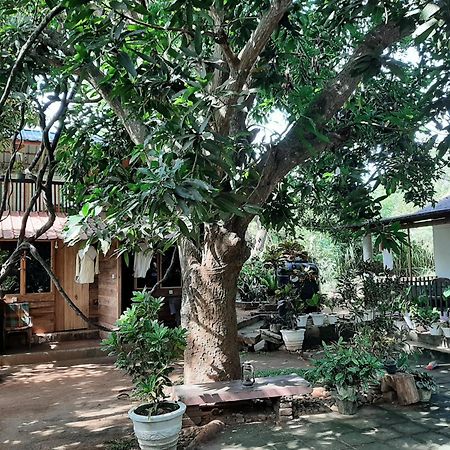 Serenity House In Dambulla Ngoại thất bức ảnh