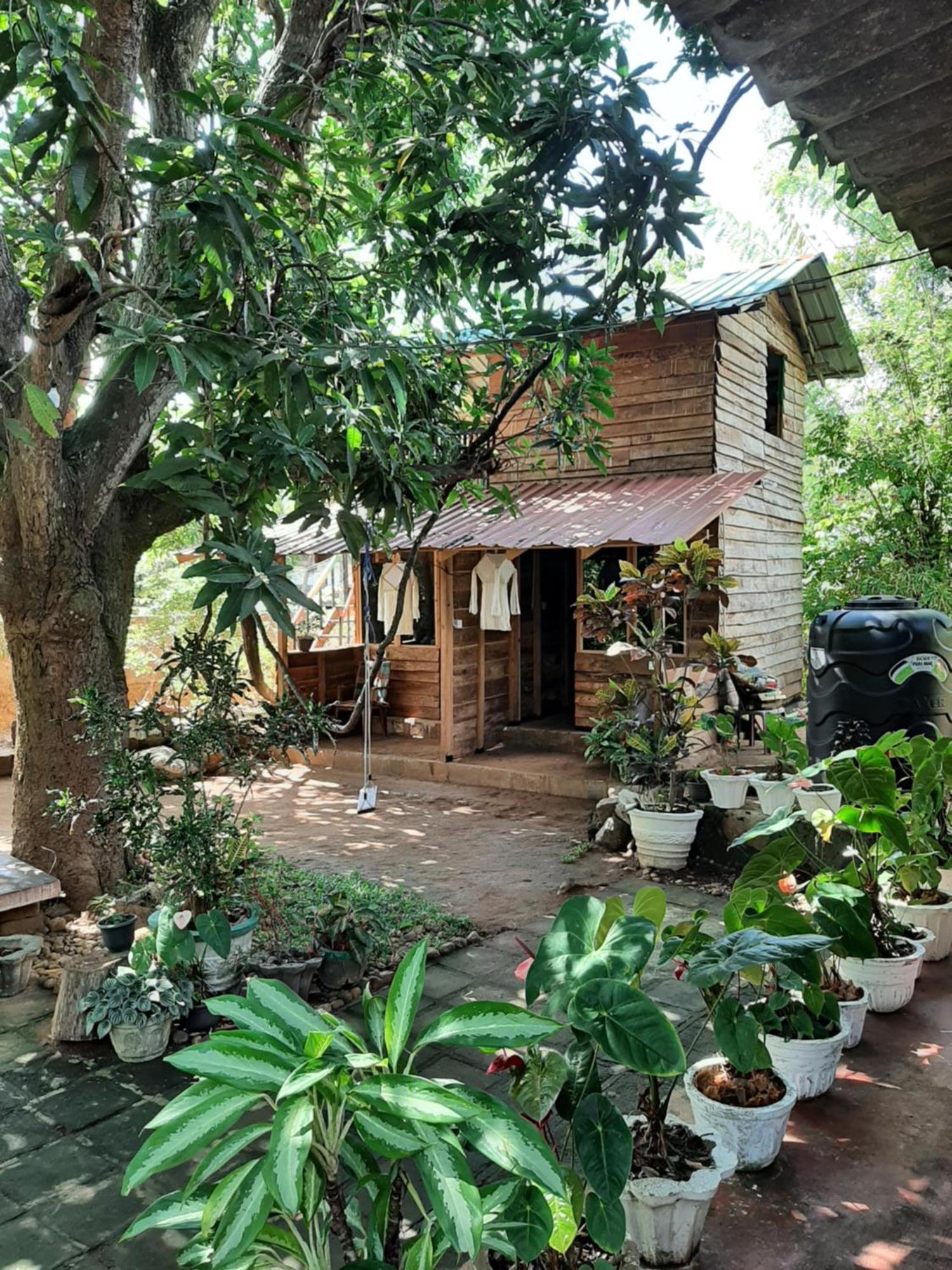 Serenity House In Dambulla Ngoại thất bức ảnh