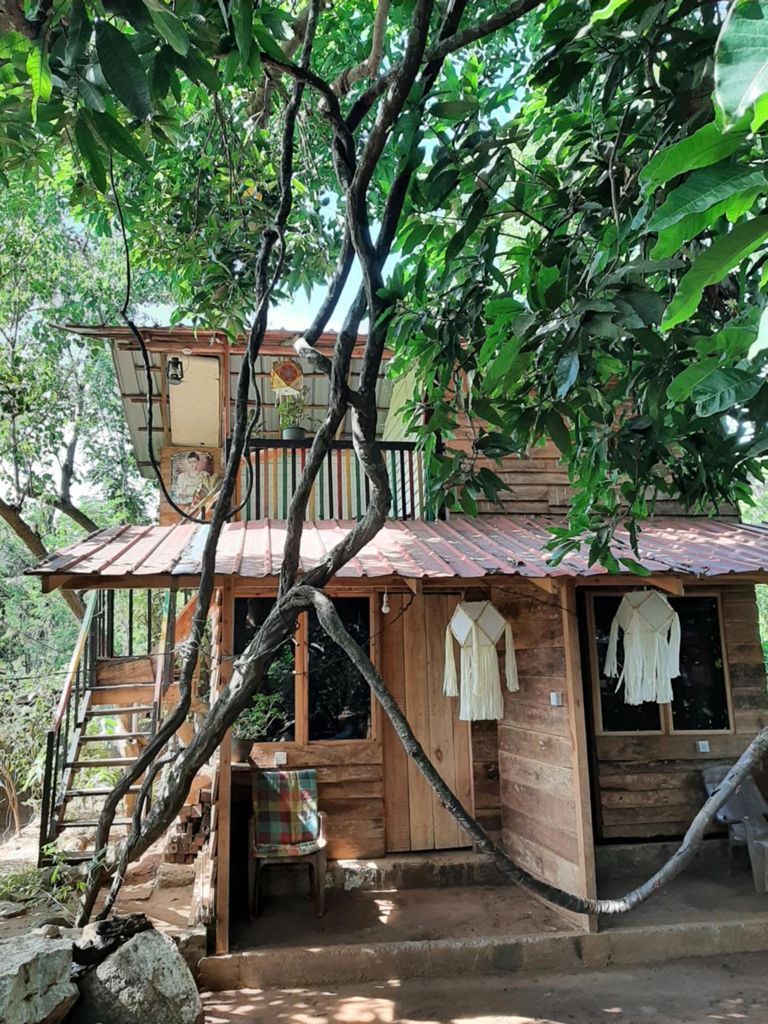 Serenity House In Dambulla Ngoại thất bức ảnh