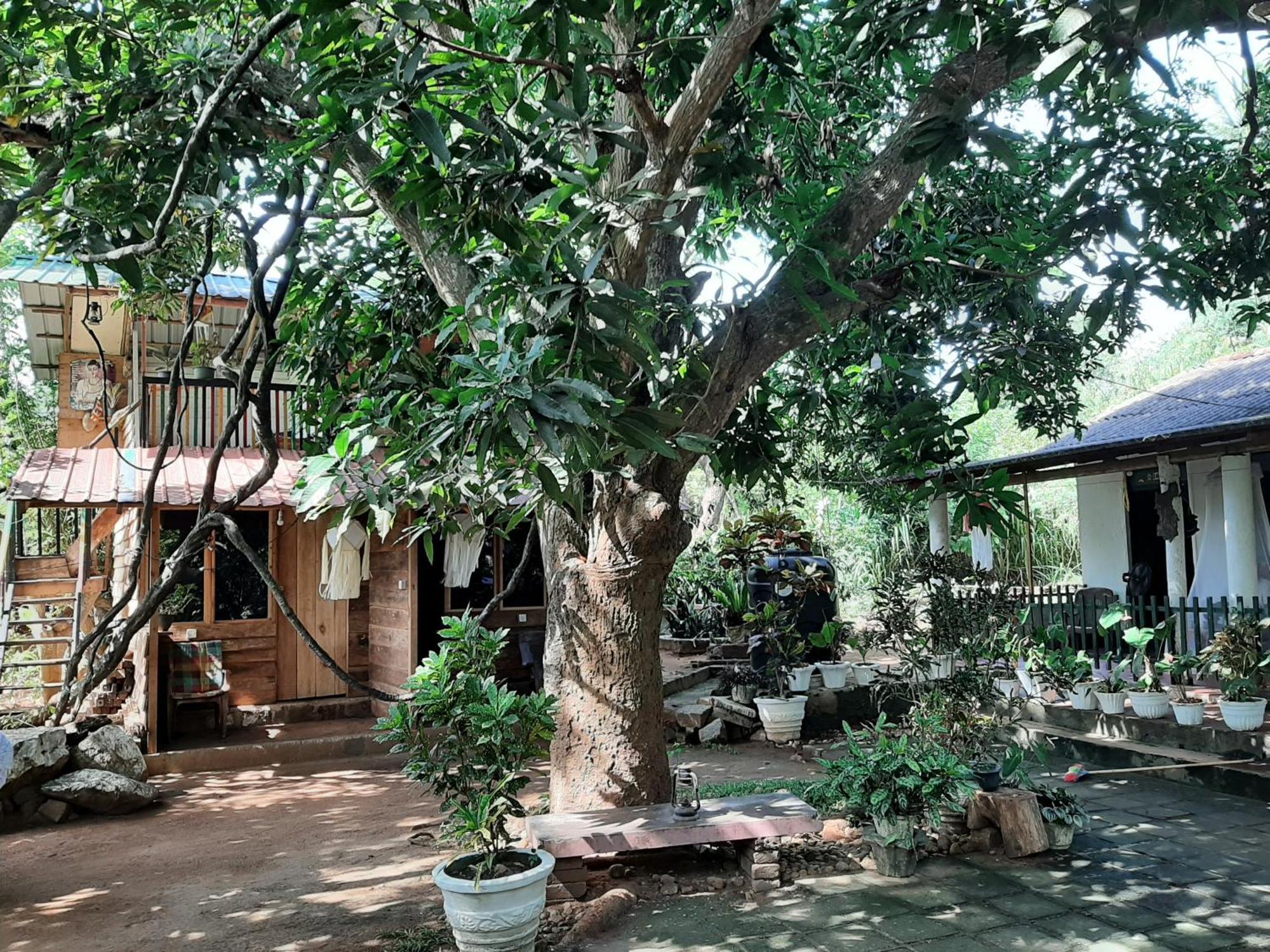 Serenity House In Dambulla Ngoại thất bức ảnh