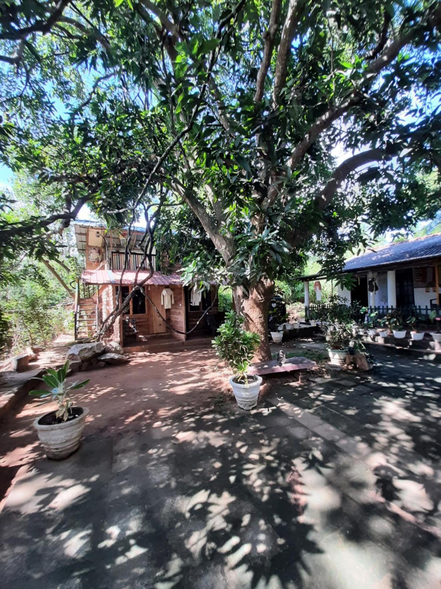 Serenity House In Dambulla Ngoại thất bức ảnh